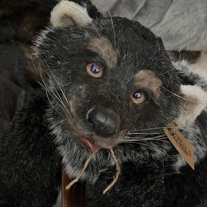 May include: A handmade plush toy in the shape of a raccoon. The toy has black and gray fur, with white accents on the ears and face. It has a brown tag attached. The raccoon has a realistic appearance with detailed features.