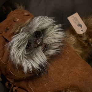 Könnte beinhalten: Ein braunes und weißes pelziges Wesen mit einem braunen Ledersack auf dem Kopf. Das Wesen hat einen freundlichen Ausdruck und schaut in die Kamera. Das Wesen hält ein Schild mit der Aufschrift "Fuzzy Friends".