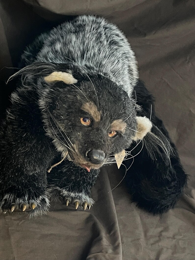 May include: A plush, handmade black and gray animal figure with detailed features. The figure has a long body, a detailed face with whiskers, and visible claws. The fur is a mix of black and gray, with tan accents around the eyes and ears.