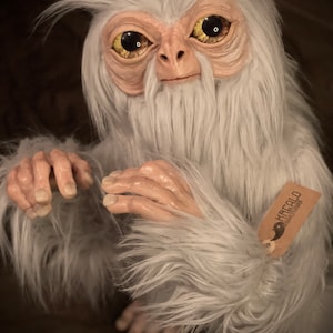 May include: A white, furry creature with large, yellow eyes and a long, white beard. The creature is sitting on a brown surface and has a small, brown tag attached to its arm that says "HREOLO".