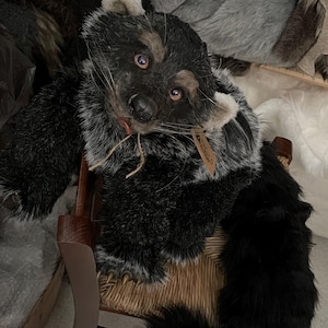 May include: A plush, black and gray raccoon doll with a detailed face and long whiskers. The doll has a tag attached and is sitting on a woven chair. The raccoon's fur is a mix of black, gray, and white.