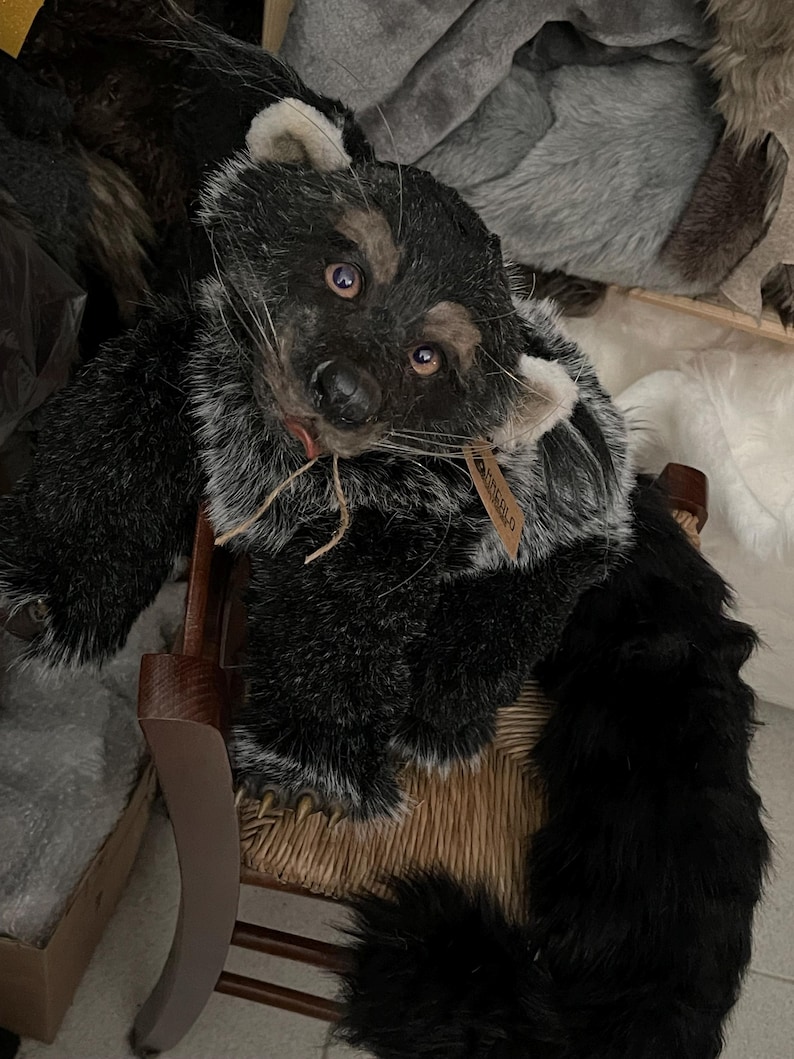 May include: A plush, black and gray raccoon doll with a detailed face and long whiskers. The doll has a tag attached and is sitting on a woven chair. The raccoon's fur is a mix of black, gray, and white.