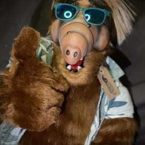 Puede incluir: Un juguete de peluche marrón y verde que lleva gafas de sol y una camisa hawaiana. El juguete tiene un hocico largo y orejas grandes. El juguete está haciendo un pulgar hacia arriba. La camisa tiene la palabra "remarkable" impresa en ella.