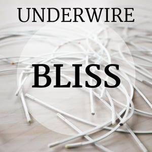 BLISS Bra-Underwires Sizes 34-52 image 1