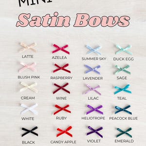 May include: A chart displaying 20 different colours of mini satin bows. The colours are arranged in four rows of five. The colours are: Latte, Azele, Summer Sky, Duck Egg, Blush Pink, Raspberry, Lavender, Sage, Cream, Wine, Lilac, Teal, White, Ruby, Heliotrope, Peacock Blue, Black, Candy Apple, Violet, Emerald, Espresso, Rusty, Midnight Blue.