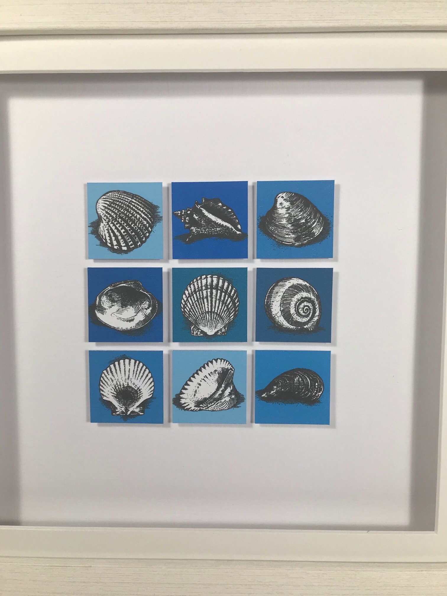 Ink illustrations of shells on canvas tiles handmade and | Etsy