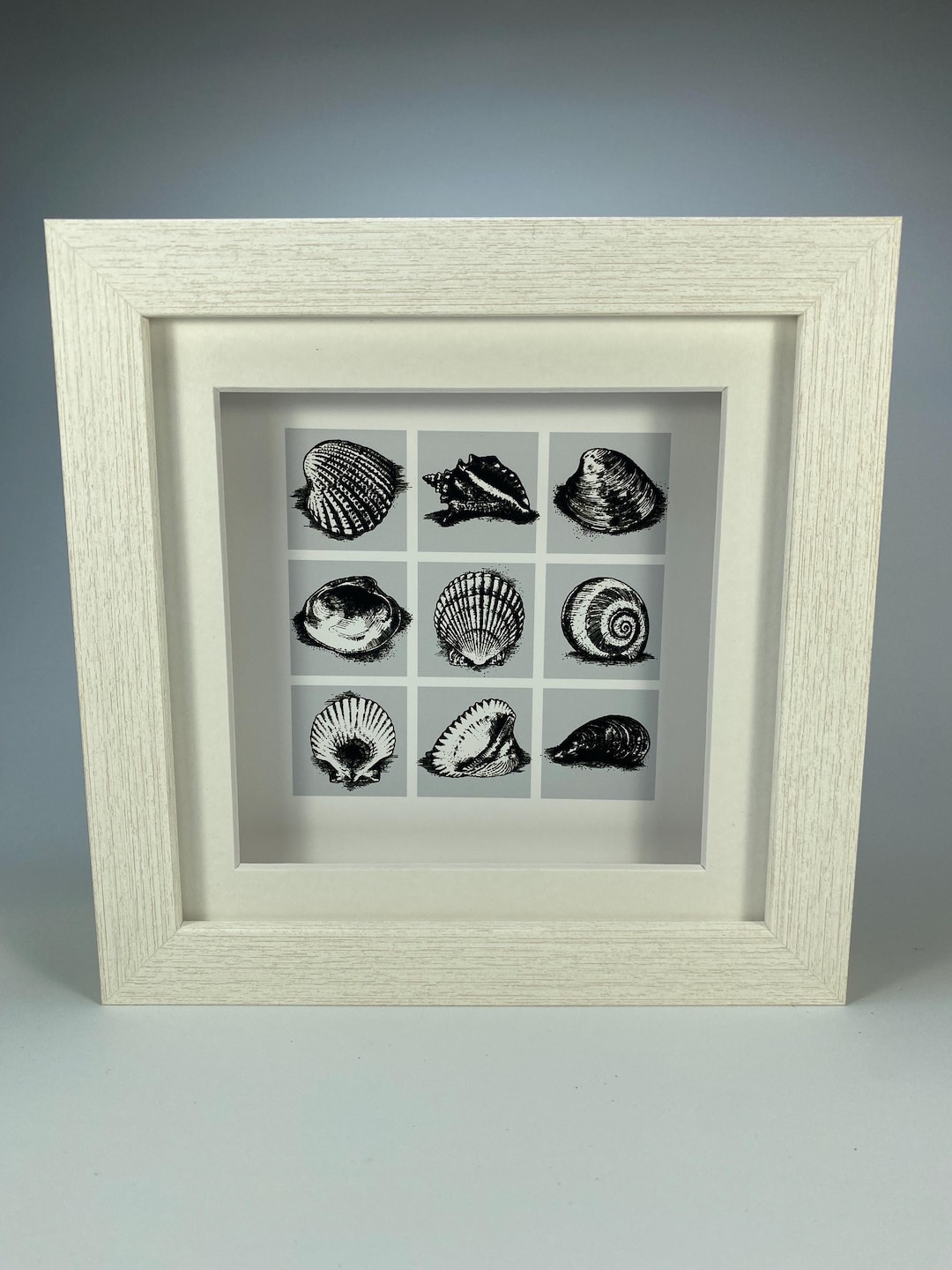 Shell Design Brown Ink Ink Illustrations of Shells on Canvas Tiles - Handmade and Framed - Etsy
