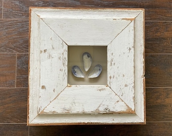 16.5” Square Shadow Box - Mussels