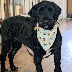 Harry Potter Inspired Wizard Dog Bandana | Golden Snitch, Sorting Hat, Owl Print, Over Collar Design