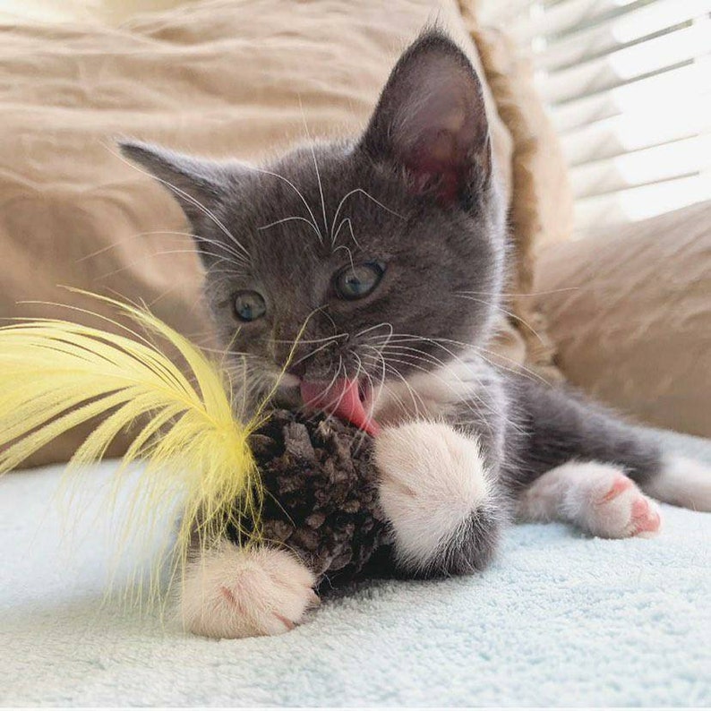Sets of Catnip Balls With Bells and Feathers