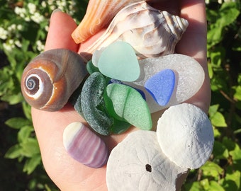 Mystery Ocean Treasure Box: Seashells, Sea Glass & Beach Finds