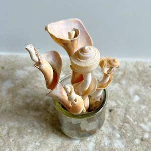 Seashells in a Jar Seashell Bouquet