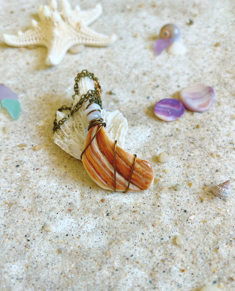 Small Wire Wrapped Shell Simple Wire Wrapped Orange Shell Pendant - Etsy