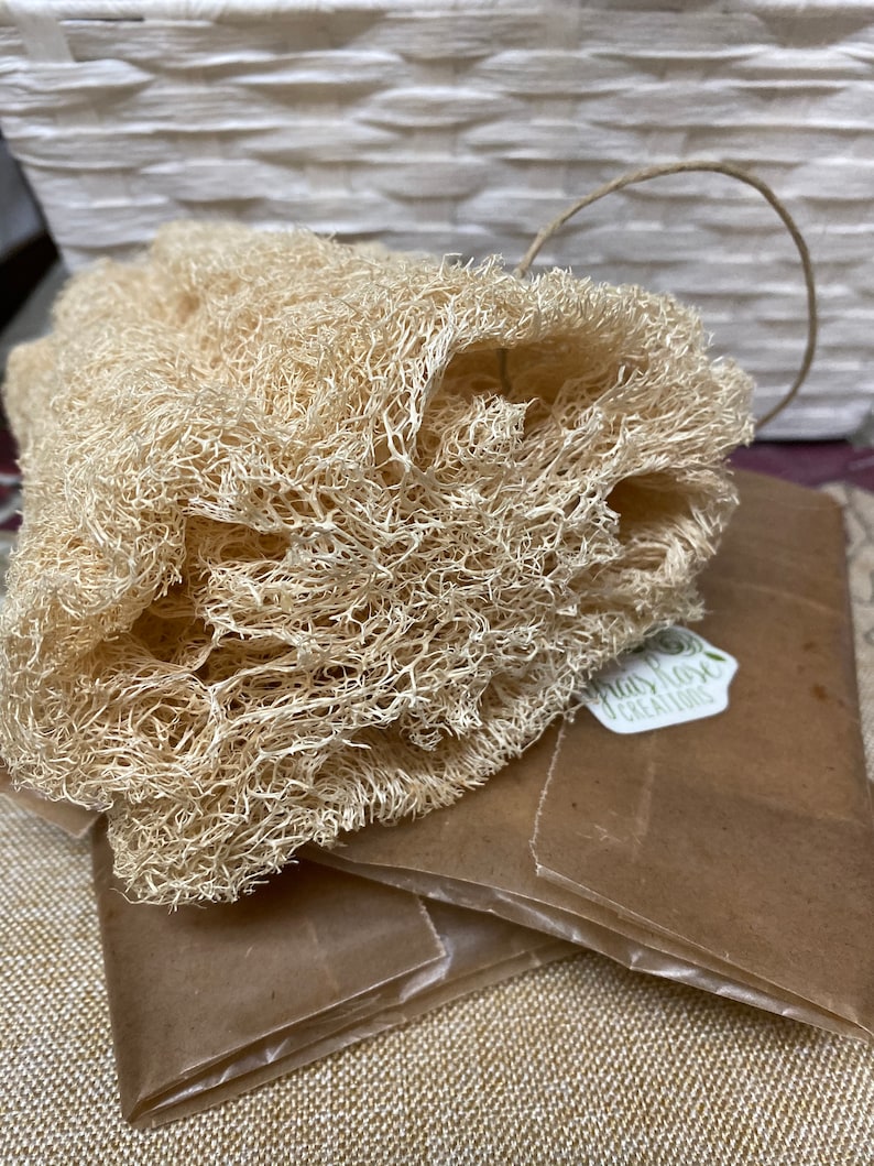 Natural Loofah Face Scrubber or Loofah Body Scrubber Artisan Etsy