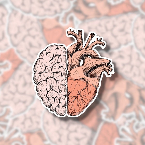 Heart Brain Sticker | Nurse Sticker | Heart Sticker | Brain Sticker | Medical Sticker | Doctor Sticker | Water Bottle Sticker