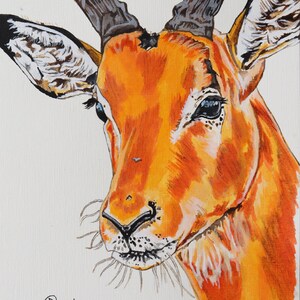 Dipinto originale di impala e antilope / Arte della fauna selvatica africana / Decorazione murale di animali da safari / Opera d'arte acrilica di fauna selvatica su carta
