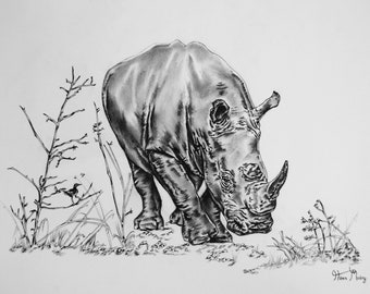 Original rhino drawing