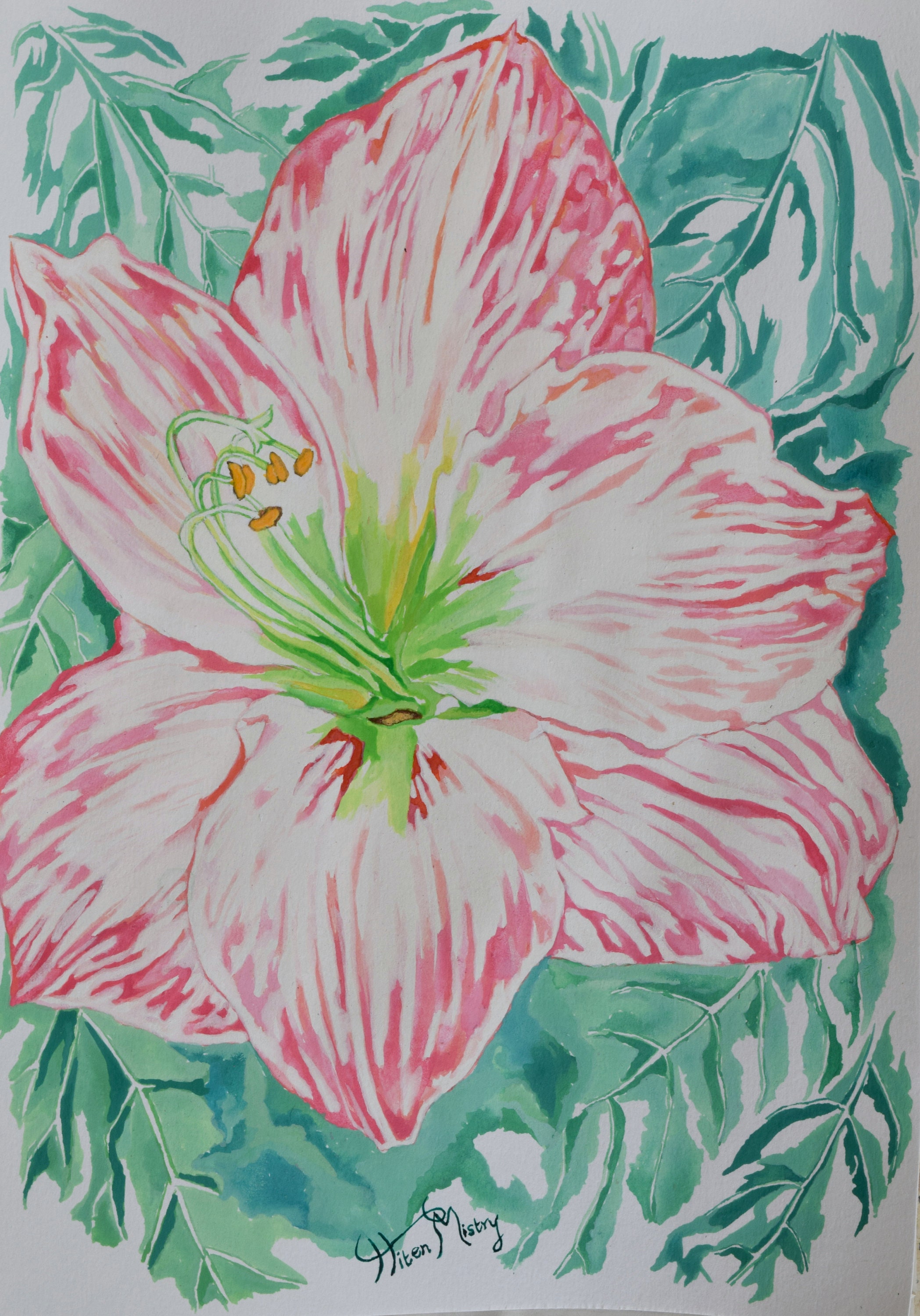水彩画アマリリスボタニカルアート原画　作家サイン入り オリジナルの白いアマリリスの絵画：花と植物のアート、サイン入り