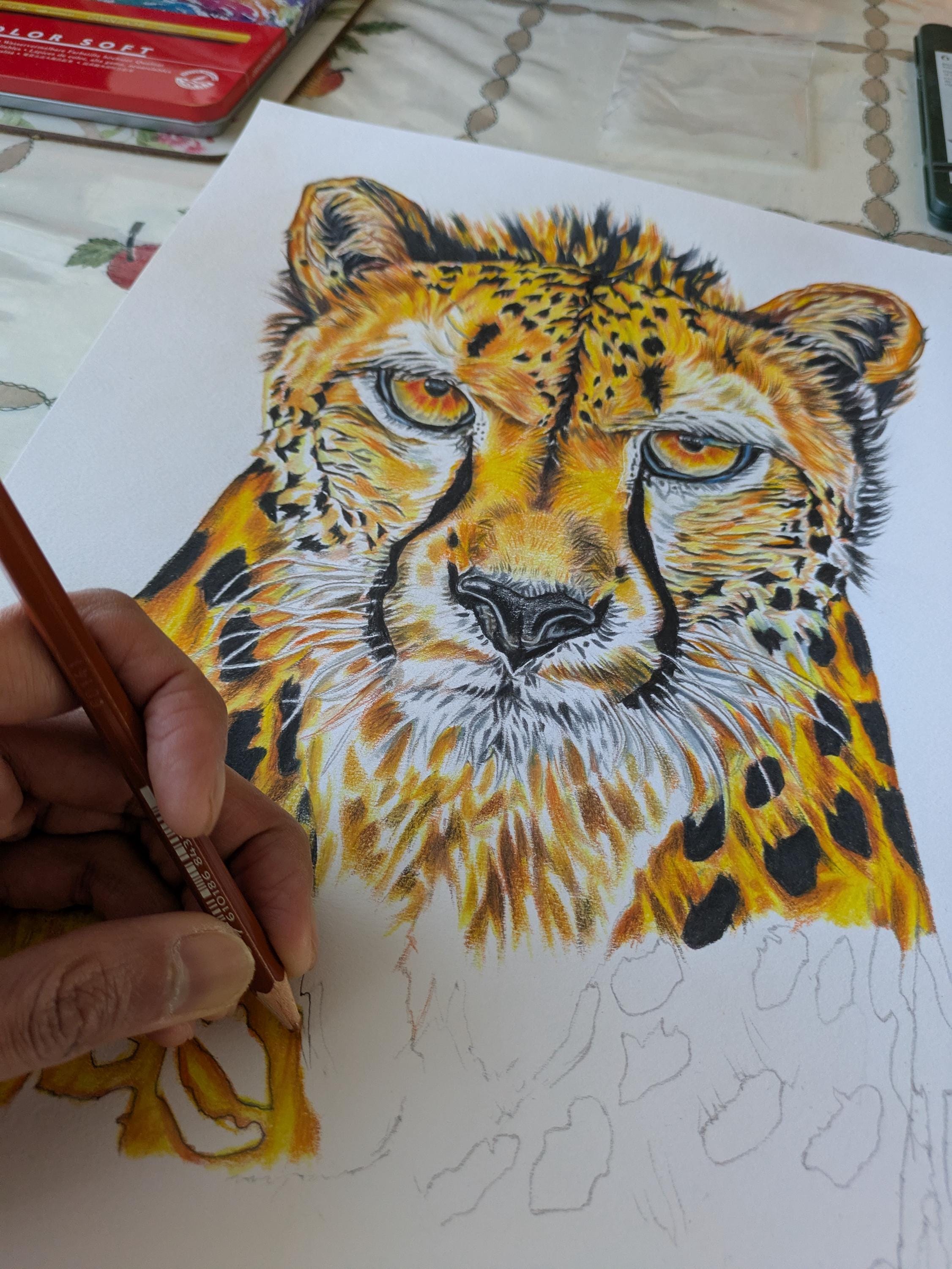 計測された本能｜オリジナルチーター画｜世界に一つだけの野生動物