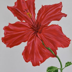 Red Hibiscus Flower Painting: Tropical Floral Wall Art