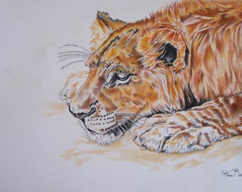 Majestad silenciosa / Dibujo original de león a lápiz de color / Obra de arte mural única sobre la vida silvestre