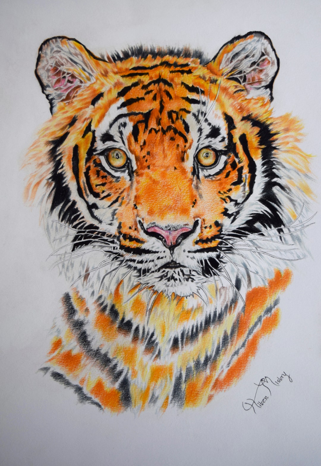 Untamed Gaze | Original Tiger Portrait Drawing | One of a Kind