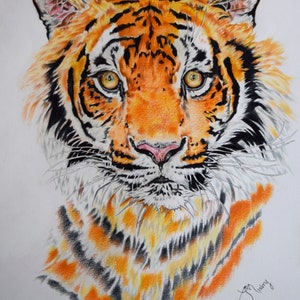 虎の絵、オリジナルの色鉛筆アートワーク、野生動物アート、手描き、11