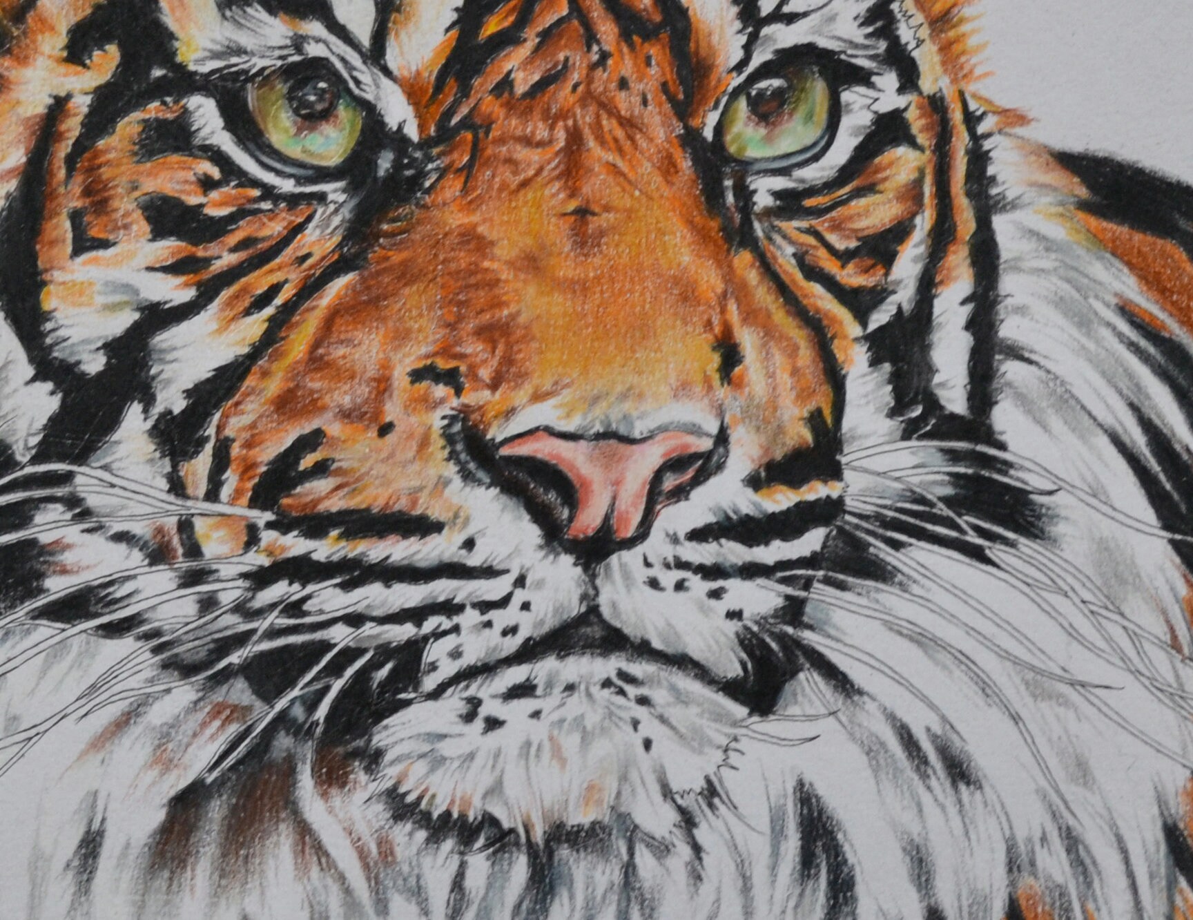 リアルな虎の絵の壁アート | 手描きの野生動物の絵画 | 動物愛好