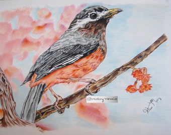 Blush of Nature | Original Bird Coloured Pencil Drawing | One of One Wildlife Wall Art
