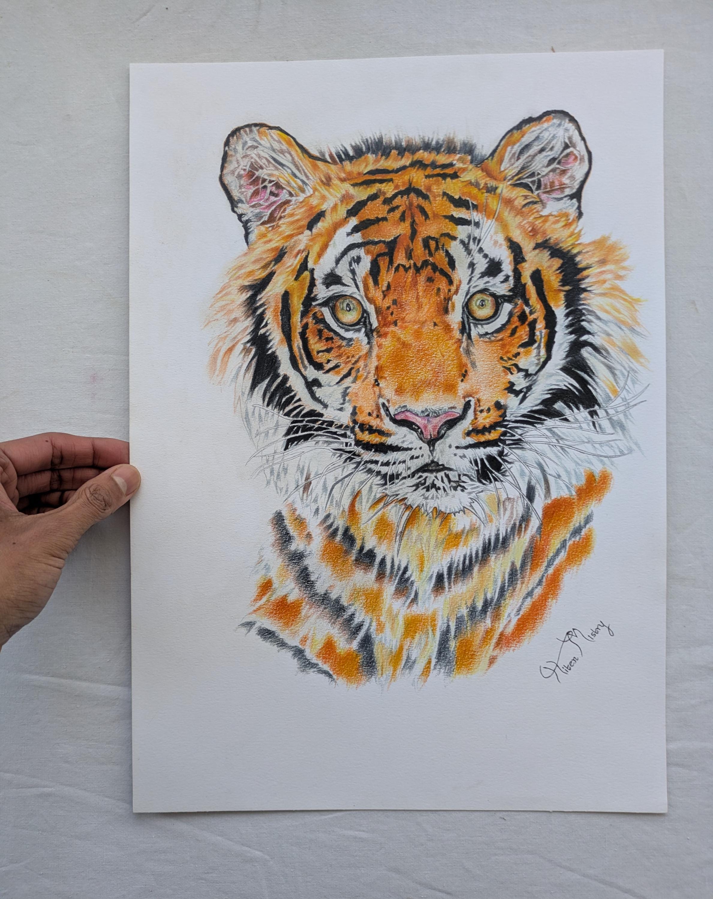 Untamed Gaze | Original Tiger Portrait Drawing | One of a Kind