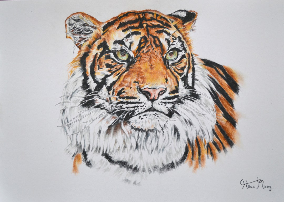 猫 ネコ ねこ cat 虎 トラ 寅 タイガー、絵画 油彩画 動物画、希少画集画 08-gyokudou-koubai-1643161283.