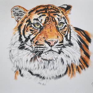Original Tiger Artwork A3 | Realistic Big Cat Drawing | Wildlife Animal Wall Decor
