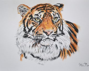 Ongerepte focus | Originele tijgertekening | Unieke natuurkunst