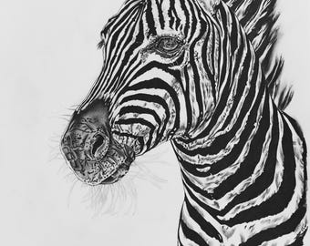 Bold Pattern | Original Zebra Drawing | One-of-a-Kind Wildlife Art | A3