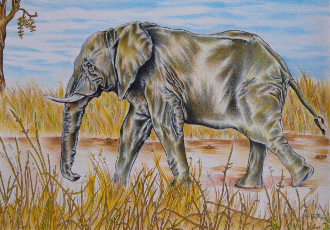 絵画  ｜手描き｜油絵 ｜オリジナル ｜象 ｜ELEPHANT il_1080xN.1928357044_nlwz.jpg