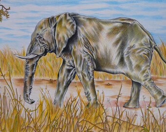 アフリカアート　ゾウ【画家 サイン入り】 アフリカゾウの鉛筆画プリント｜アーティストGary Tymonのサイン