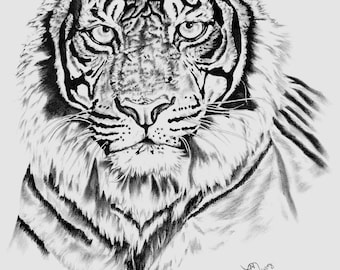 虎の絵、オリジナルの色鉛筆アートワーク、野生動物アート、手描き、11