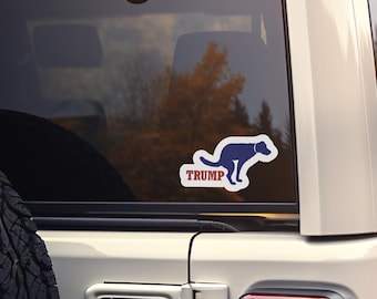 Anti Trump Vinyl Decals, Funny Trump Decal, Car and Laptop Stickers, Hilarious Political Gift, Womans Rights Sticker