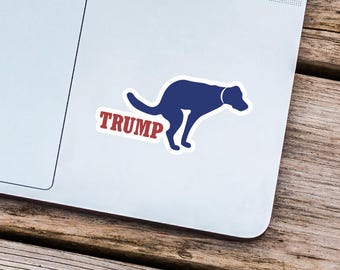 Funny Trump Sticker Funny Trump Gift Fck Trump Sticker I Didnt Vote for Him Sticker, Trump Gag Gift, Trump Sticker