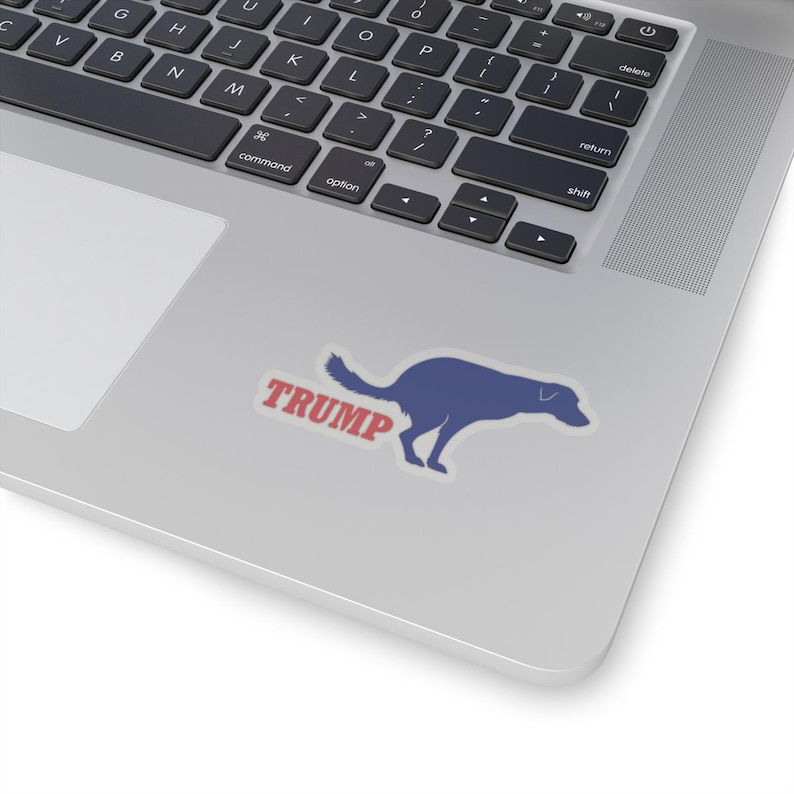 Pegatina divertida de Trump, regalo divertido de Trump, pegatina de Fck Trump, pegatina de "No voté por él", regalo de broma de Trump, pegatina de Trump imagen 7