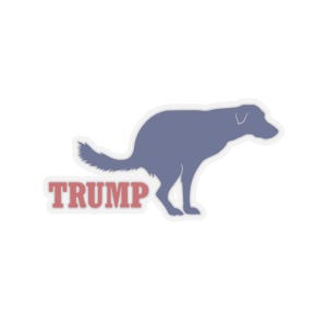 Pegatina divertida de Trump, regalo divertido de Trump, pegatina de Fck Trump, pegatina de "No voté por él", regalo de broma de Trump, pegatina de Trump imagen 5