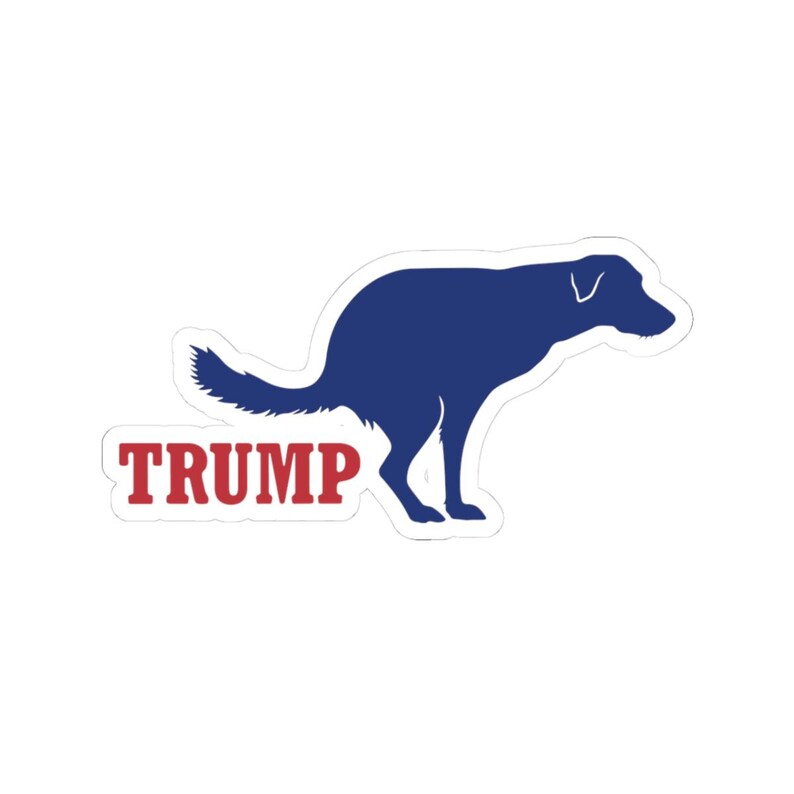 Pegatina divertida de Trump, regalo divertido de Trump, pegatina de Fck Trump, pegatina de "No voté por él", regalo de broma de Trump, pegatina de Trump imagen 6