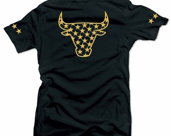 Jordan 6 DMP Defining Moments - Bull Stars  Match  Black Tee