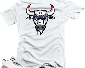 T Shirt to Match Nike Air Jordan Retro 