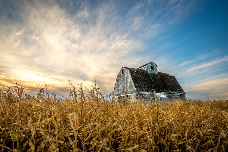 Iowa landscapes abandoned barn corn crib corn fields Etsy