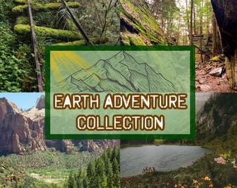 The Earth Adventure Curated Collection // adventurecore naturecore mystery box gift for her vintage thrift accessory bundle nature foraging