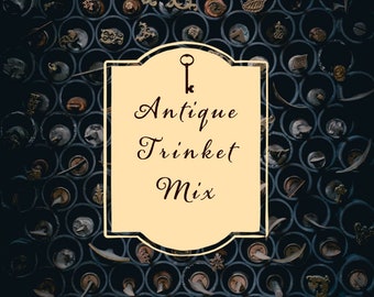 The Antique Trinkets Mix // Crowcore Oddities Trinkets Miniaturen Minis Konfettischaufel Goblincore Krähe glänzender Schlüssel Münze Würfel DND Tiktok