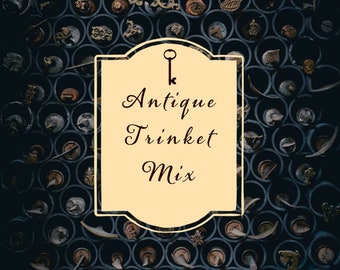 The Antique Trinkets Mix // crowcore oddities trinkets miniatures minis confetti scoop goblincore crow shiny key coin dice dnd tiktok