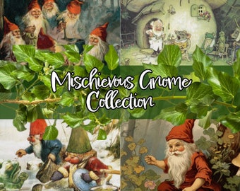 The Mischievous Gnome Curated Collection // crowcore goblincore forest nature gift box mystery thrift trinket antique vintage goblin corvid