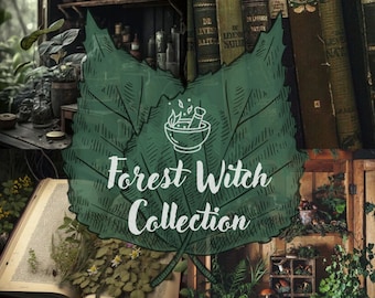 The Forest Witch Curated Collection // naturecore goblincore forestcore witchy vintage thrift mystery box grab bag bundle gift for her